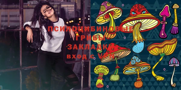 круглые Магас
